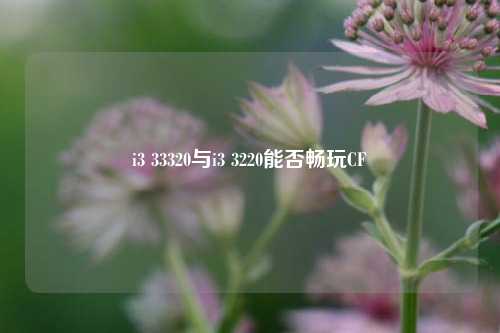 i3 33320与i3 3220能否畅玩CF