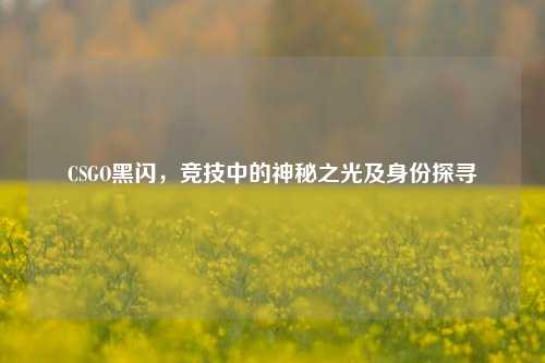 CSGO黑闪，竞技中的神秘之光及身份探寻