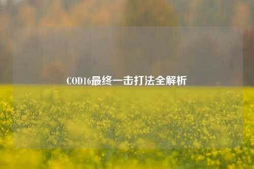 COD16最终一击打法全解析