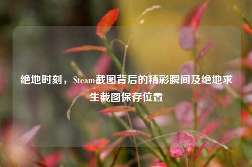 绝地时刻，Steam截图背后的精彩瞬间及绝地求生截图保存位置