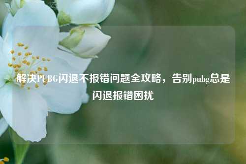 解决PUBG闪退不报错问题全攻略，告别pubg总是闪退报错困扰