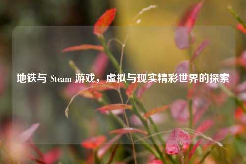 地铁与 Steam 游戏，虚拟与现实精彩世界的探索