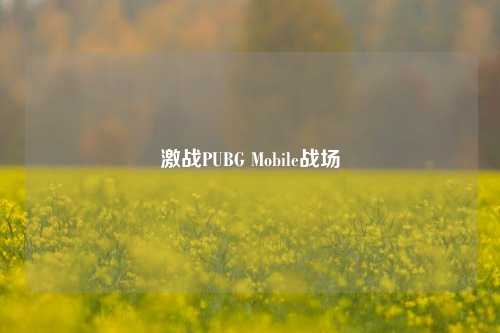 激战PUBG Mobile战场