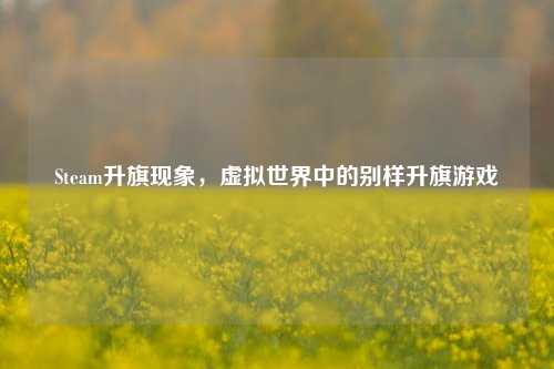 Steam升旗现象，虚拟世界中的别样升旗游戏