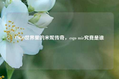 CSGO世界里的米妮传奇，csgo mir究竟是谁