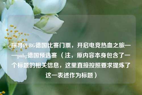 探寻PUBG德国比赛门票，开启电竞热血之旅——pubg德国预选赛 （注，原内容本身包含了一个标题的相关信息，这里直接按照要求提炼了这一表述作为标题）