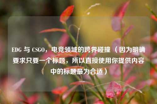 EDG 与 CSGO，电竞领域的跨界碰撞 （因为明确要求只要一个标题，所以直接使用你提供内容中的标题最为合适）