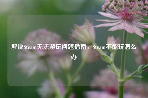 解决Steam无法游玩问题指南，Steam不能玩怎么办