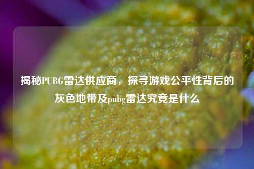 揭秘PUBG雷达供应商，探寻游戏公平性背后的灰色地带及pubg雷达究竟是什么