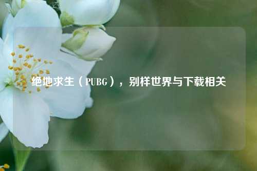 绝地求生(PUBG),别样世界与下载相关