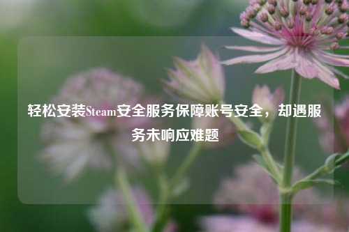 轻松安装Steam安全服务保障账号安全，却遇服务未响应难题