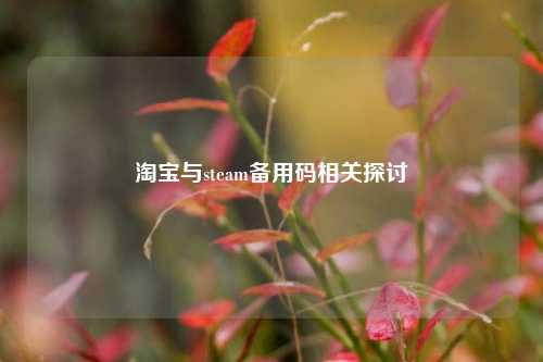 淘宝与steam备用码相关探讨