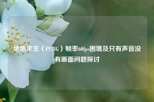 绝地求生（PUBG）帧率60fps困境及只有声音没有画面问题探讨