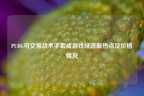 PUBG可交易战术手套成游戏经济新热点及价格情况