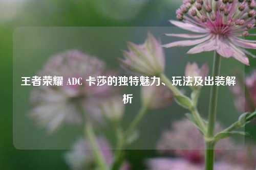 王者荣耀 ADC 卡莎的独特魅力、玩法及出装解析