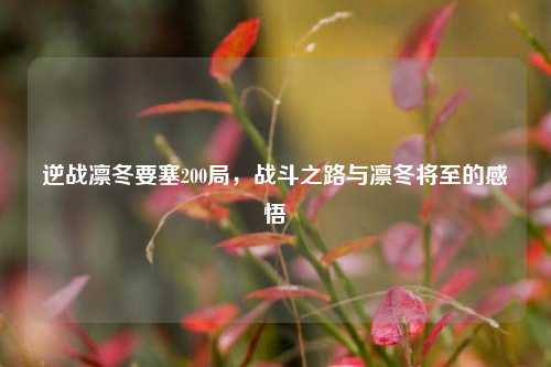 逆战凛冬要塞200局，战斗之路与凛冬将至的感悟