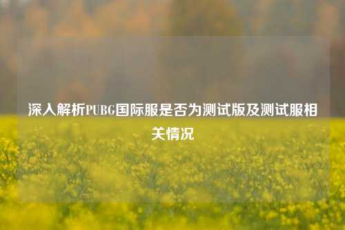 深入解析PUBG国际服是否为测试版及测试服相关情况