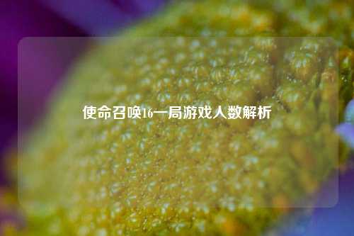 使命召唤16一局游戏人数解析