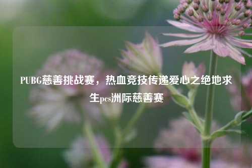 PUBG慈善挑战赛，热血竞技传递爱心之绝地求生pcs洲际慈善赛