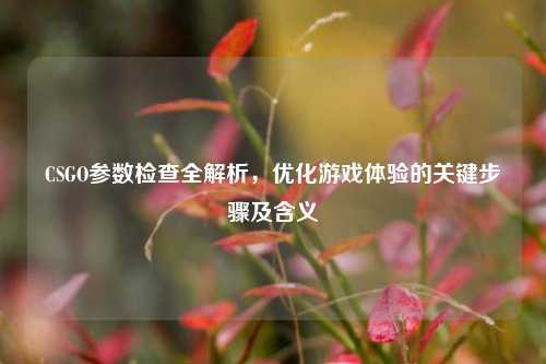 CSGO参数检查全解析，优化游戏体验的关键步骤及含义