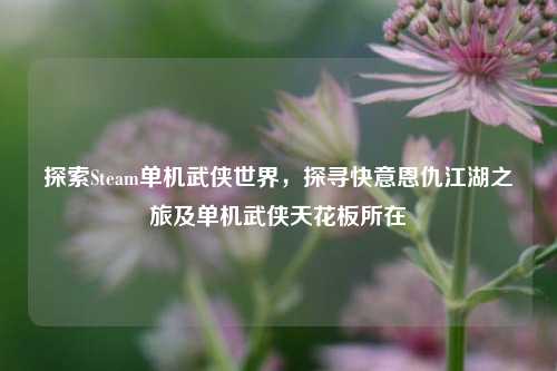 探索Steam单机武侠世界，探寻快意恩仇江湖之旅及单机武侠天花板所在