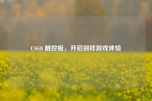 CSGO 触控板，开启别样游戏体验