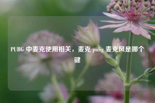 PUBG 中麦克使用相关，麦克 pubg 麦克风是哪个键
