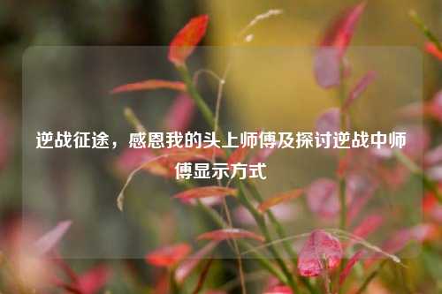 逆战征途，感恩我的头上师傅及探讨逆战中师傅显示方式