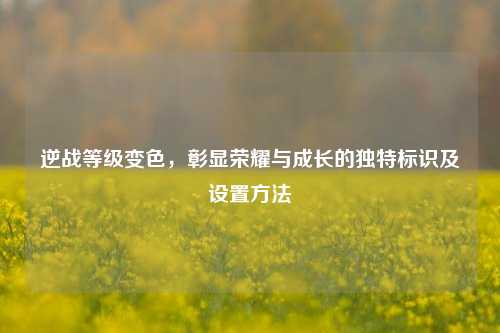 逆战等级变色，彰显荣耀与成长的独特标识及设置方法