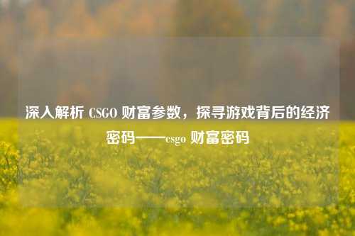 深入解析 CSGO 财富参数，探寻游戏背后的经济密码——csgo 财富密码