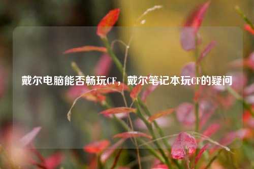 戴尔电脑能否畅玩CF，戴尔笔记本玩CF的疑问