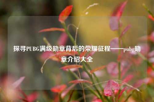 探寻PUBG满级勋章背后的荣耀征程——pubg勋章介绍大全
