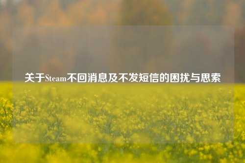关于Steam不回消息及不发短信的困扰与思索