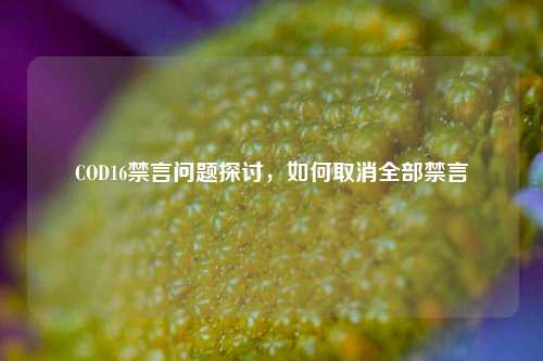 COD16禁言问题探讨，如何取消全部禁言