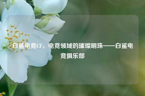 白鲨电竞CF，电竞领域的璀璨明珠——白鲨电竞俱乐部